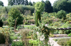 Kr&auml;utergarten Himmelpfort